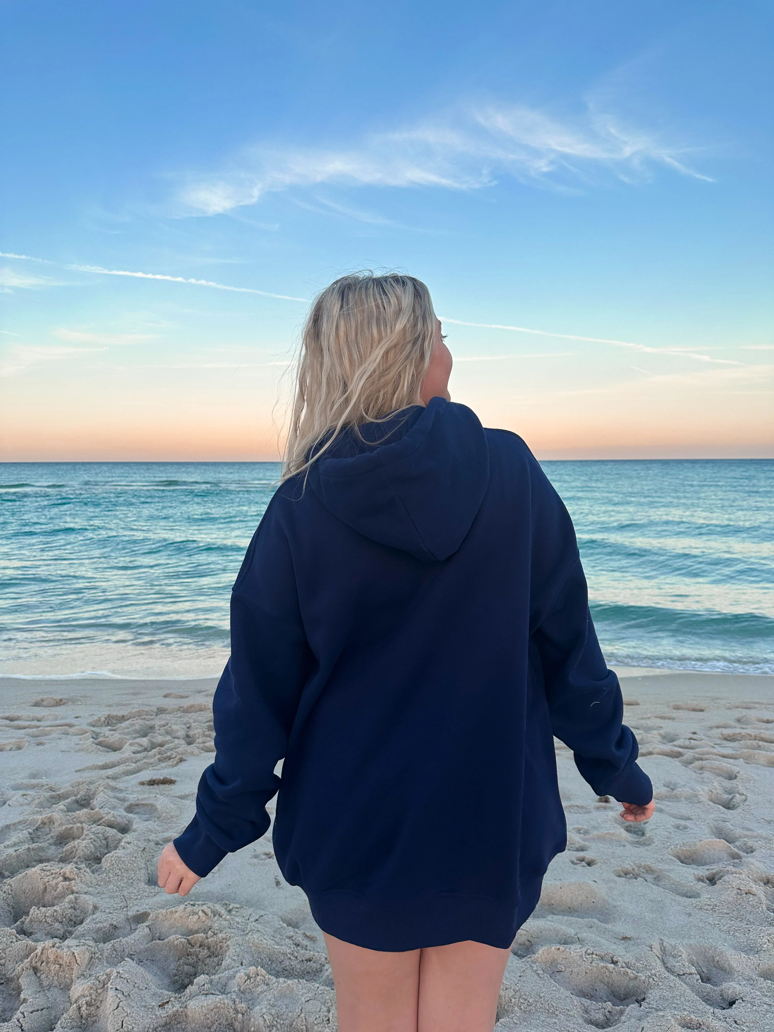 Sunkissed Collegiate Embroider Oversized Hoodie - Image 8