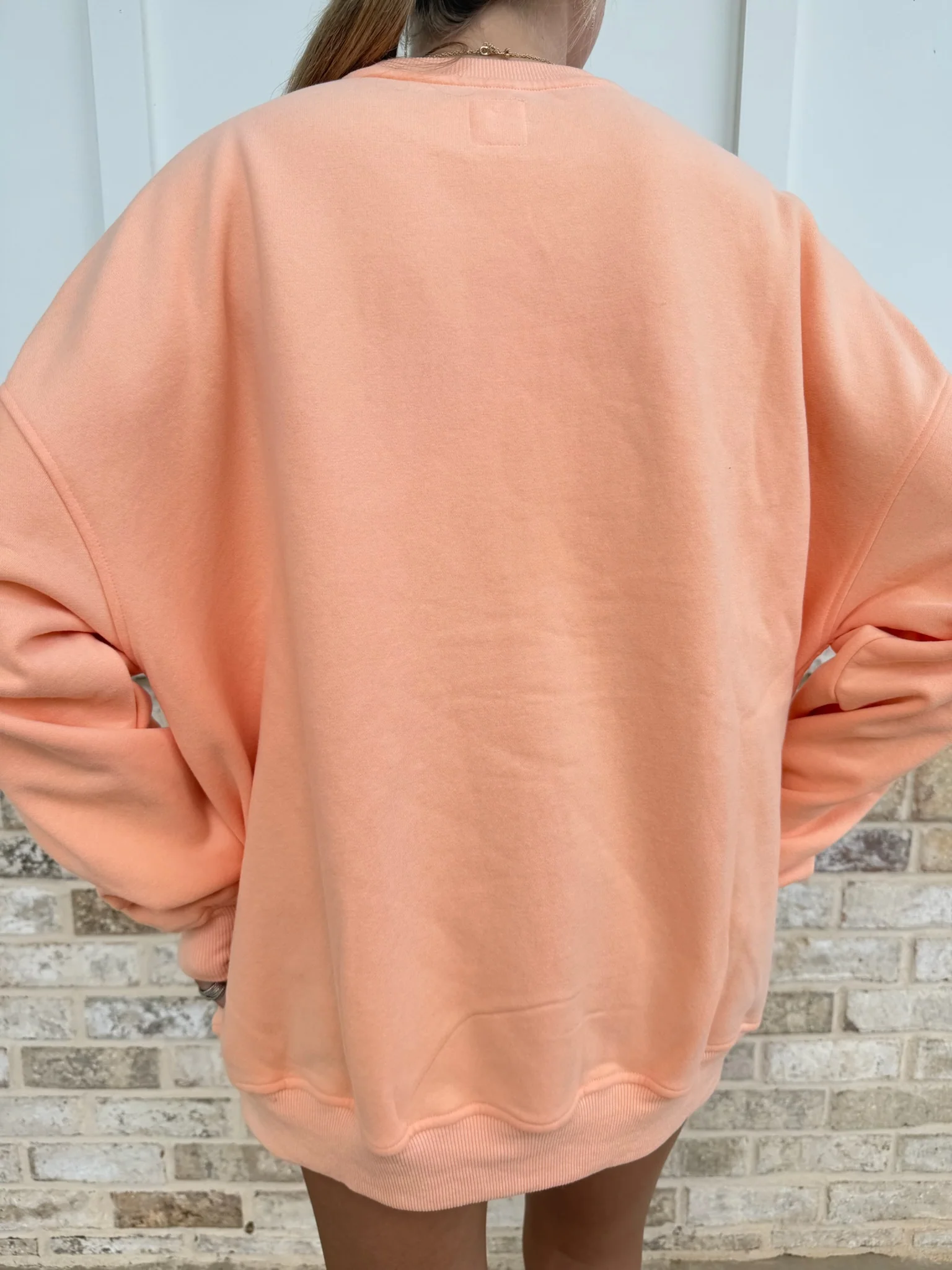 Sunkissed Collegiate Embroider Oversized Crewneck Sweatshirt - Image 46
