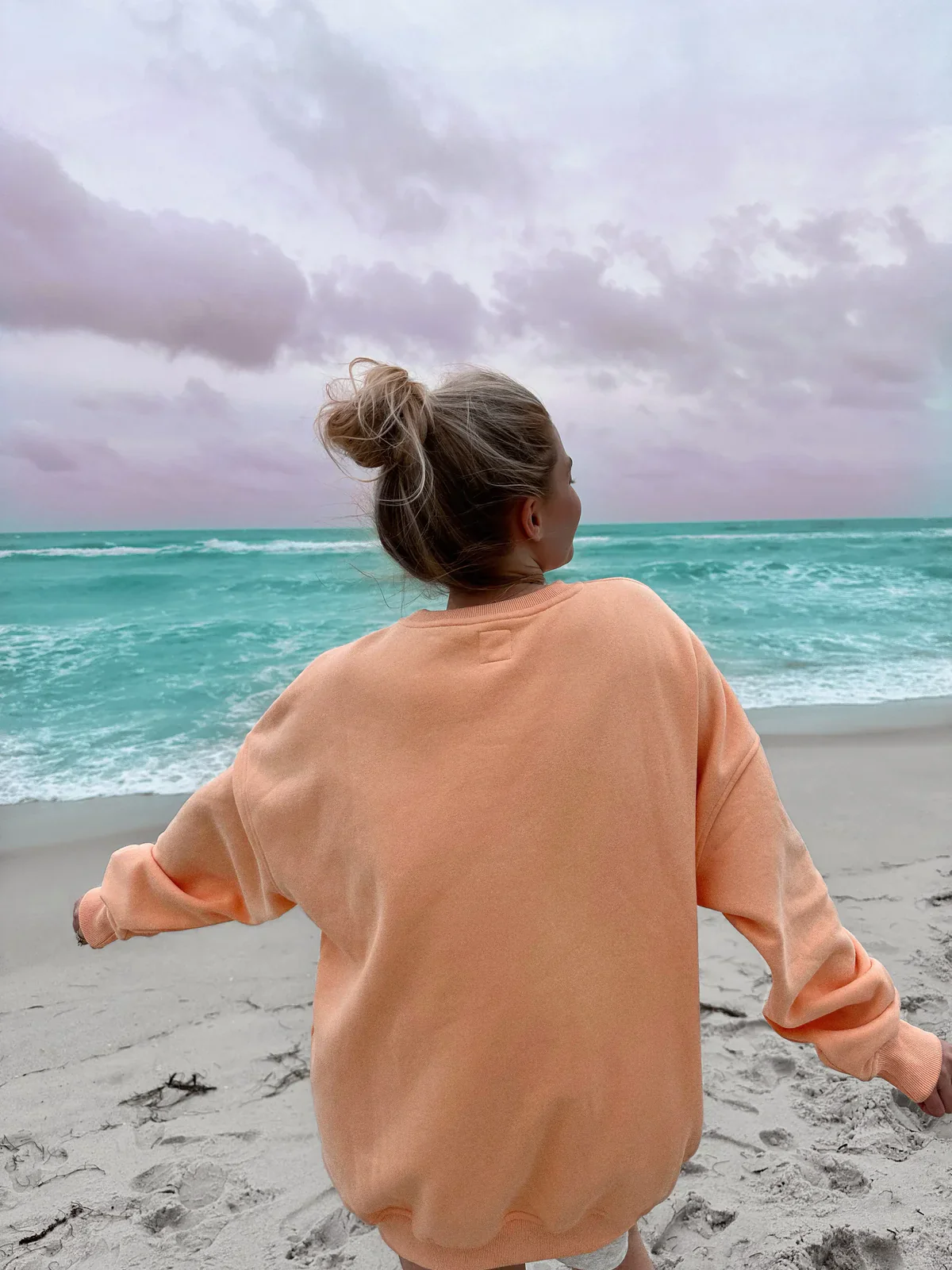 Sunkissedcoconut Embroider Oversized Crewneck Sweatshirt - Image 11