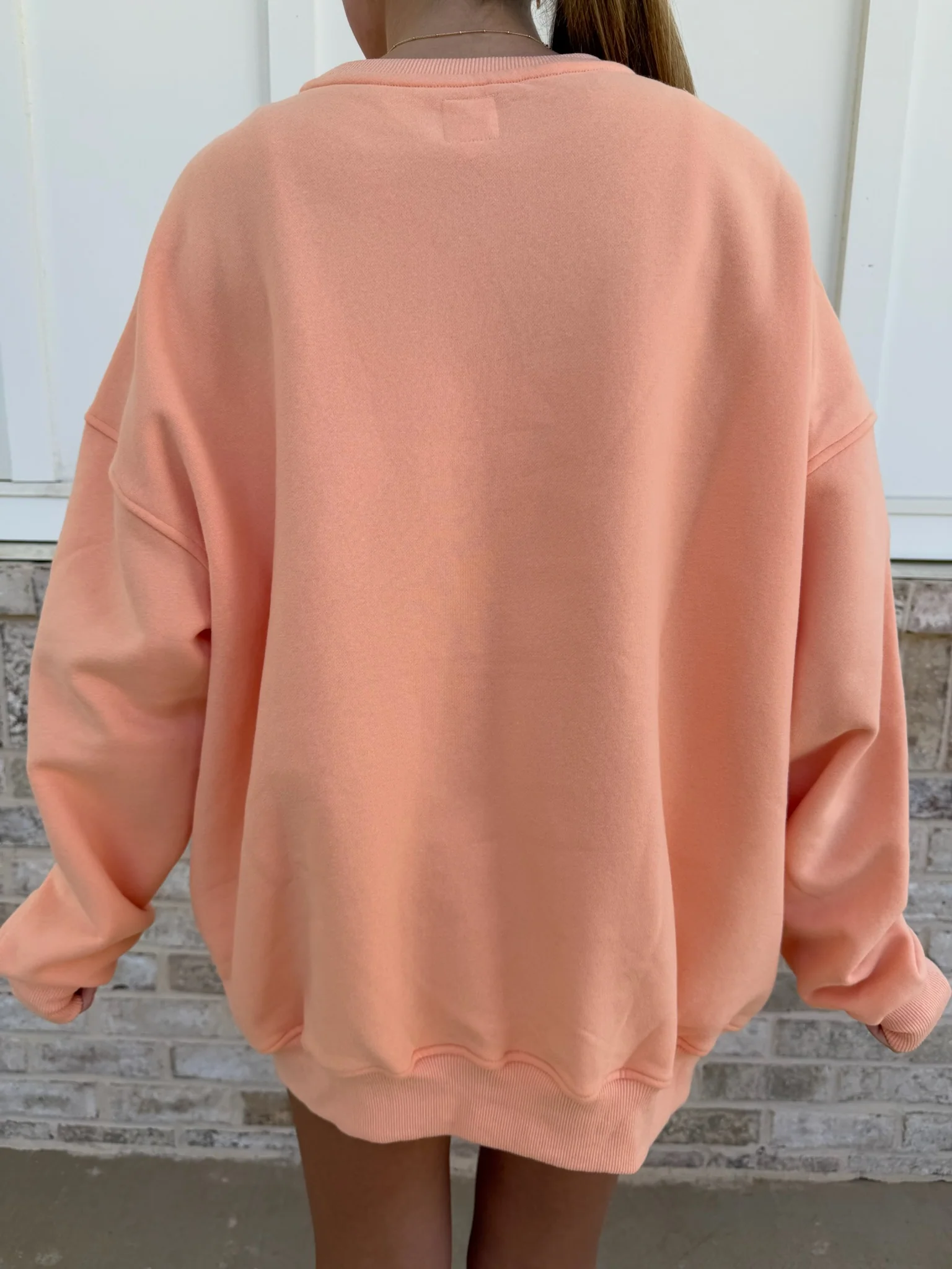 Sunkissedcoconut Embroider Oversized Crewneck Sweatshirt - Image 28